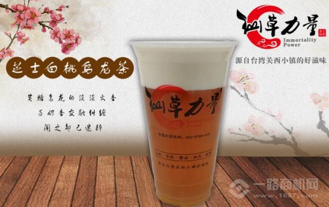仙草力量加盟