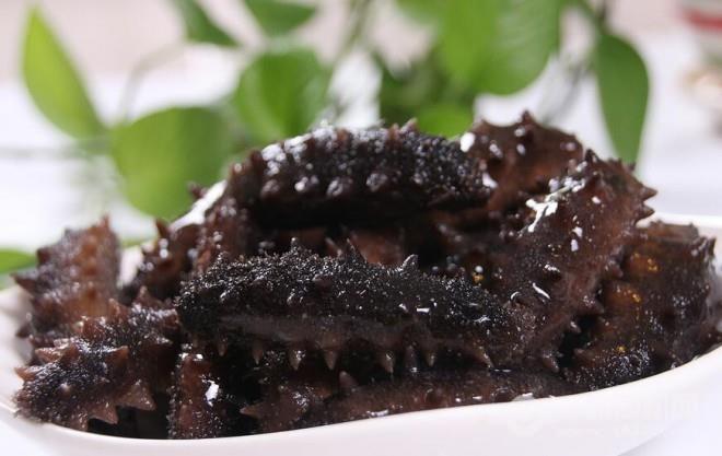 海恩康海参加盟