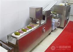 金寶苞養(yǎng)生饅頭