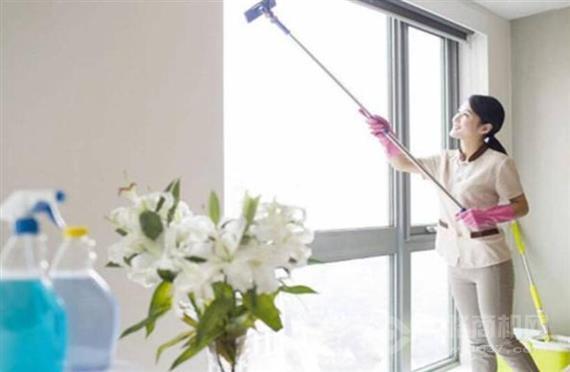 蜜蜂忙家政保洁