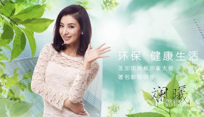 圣加诺地板 圣加诺地板