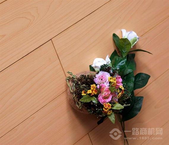 威廉德尔森地板