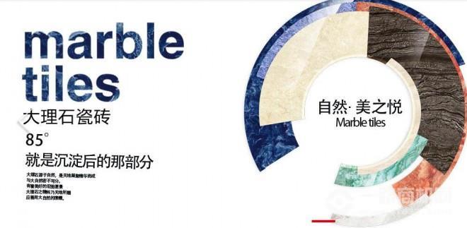 金牌天緯陶瓷
