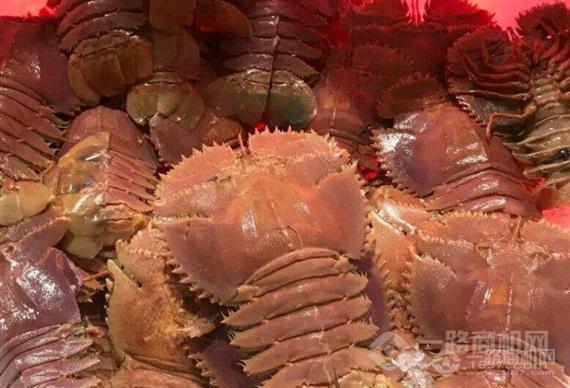 初色海鲜自助火锅