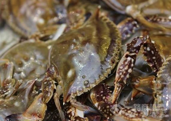 初色海鲜自助火锅