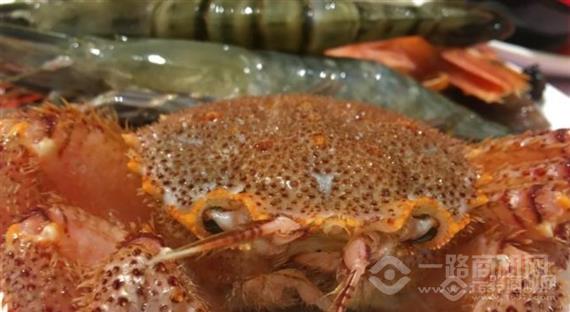 初色海鲜自助火锅