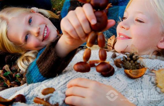 波恩波比儿童全脑教育