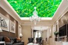 绿色天强集成吊顶