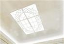 瑞升科洛纳吊顶