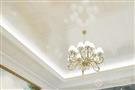 瑞升科洛纳吊顶