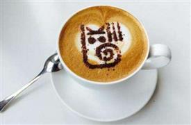 呆猫咖啡