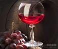 乐樽葡萄酒