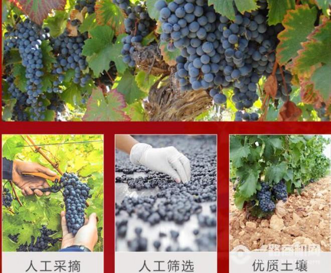 马尔贝克葡萄酒加盟