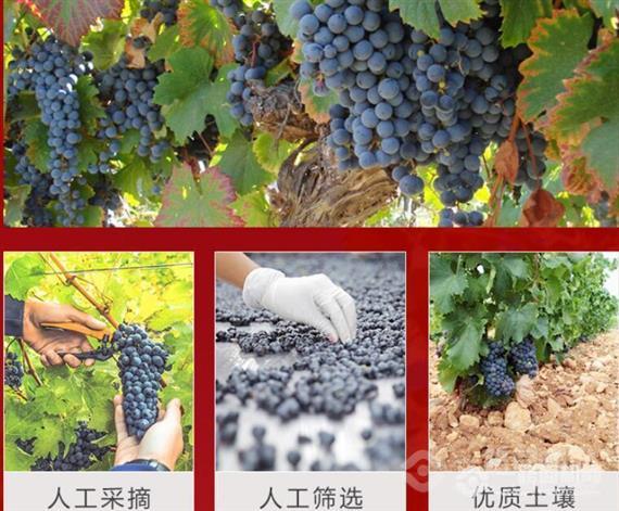 马尔贝克葡萄酒