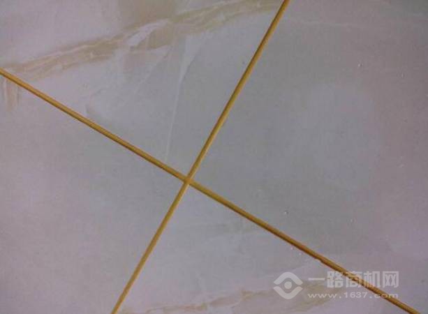 尊丰纳米真瓷美缝剂