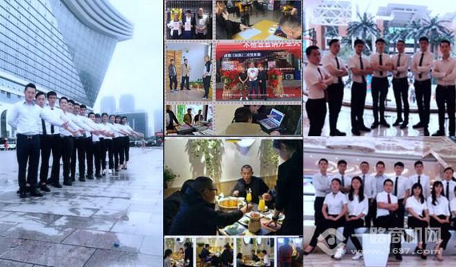 贪吃猪木桶鱼加盟