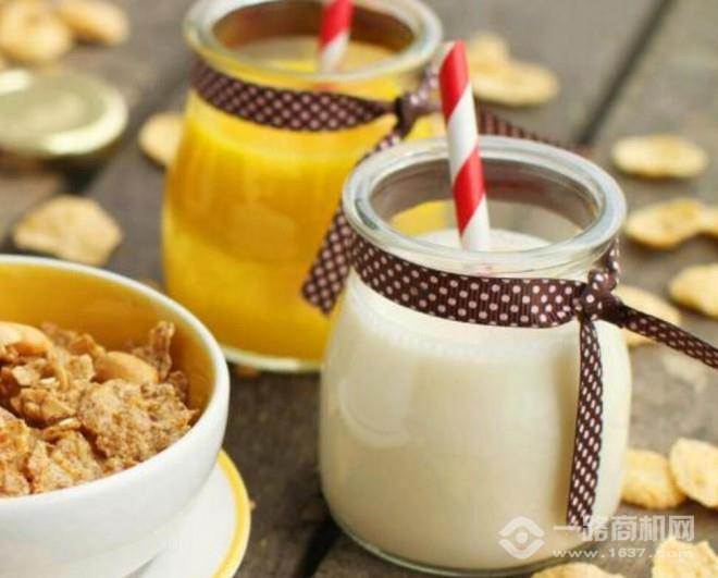 启典奶茶 启典奶茶