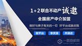 1+2联合不动产房产中介
