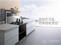 斯帝克集成环保灶