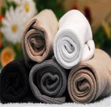 彩霸美襪業(yè)