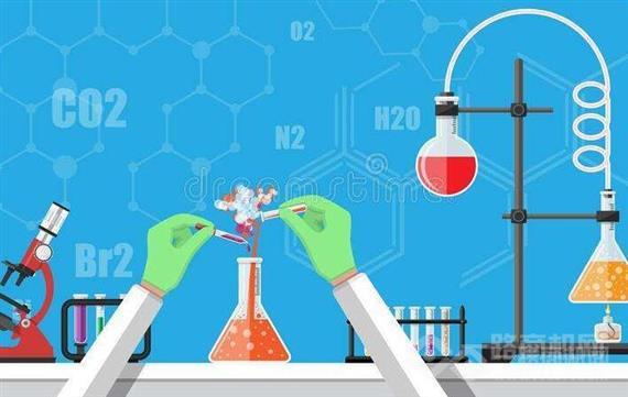 蛋壳树科学教育