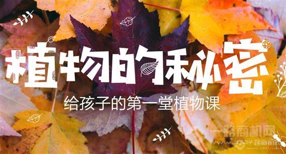 新升力启蒙教育