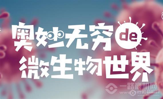 新升力启蒙教育