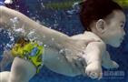 小鱼儿婴儿游泳馆