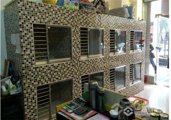 顽皮家族宠物店