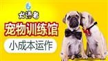 犬语者宠物训导馆