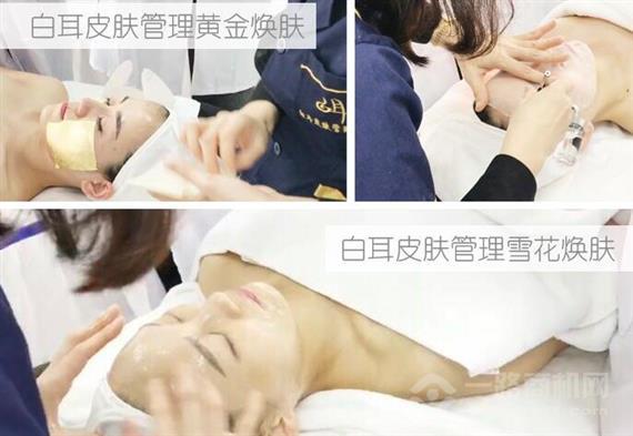 白耳皮肤管理