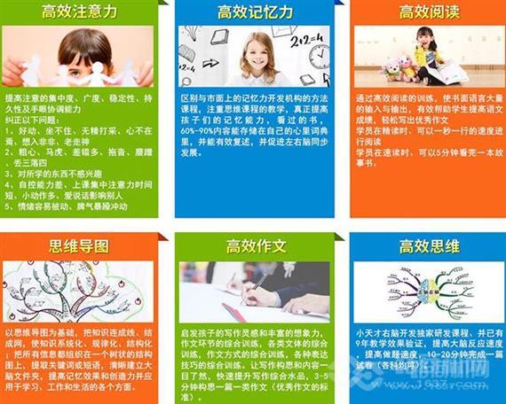 小天才全脑教育