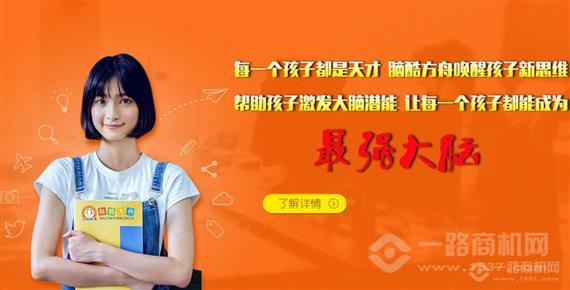 脑酷方舟全脑开发