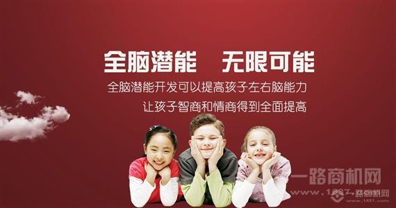 脑酷方舟全脑开发