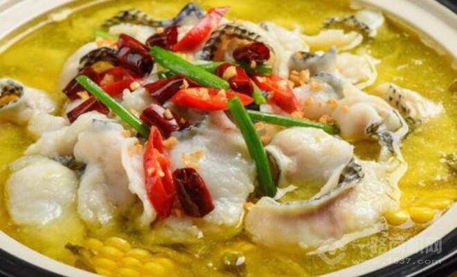 藤椒魚(yú)佳加盟