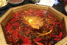 蜀小龙火锅