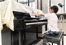 美悦钢琴