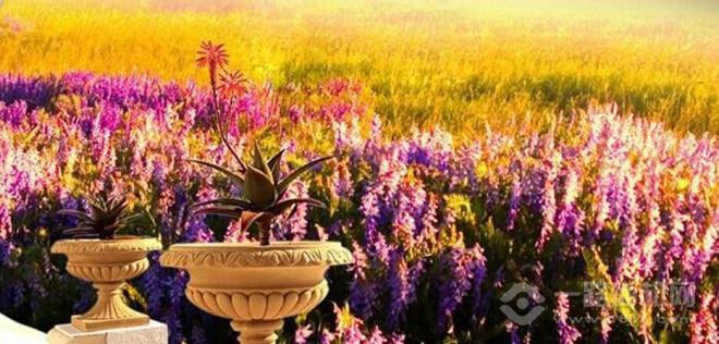 蕾蘭朵專業產后恢復