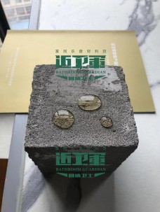 近衛(wèi)軍回填衛(wèi)士