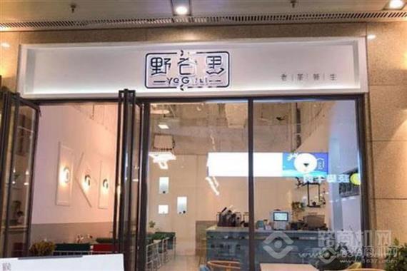 野谷里老茶新生饮品