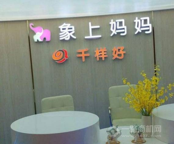 象上妈妈