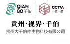千伯视力
