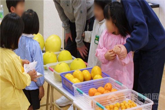 东方小熊思维早教