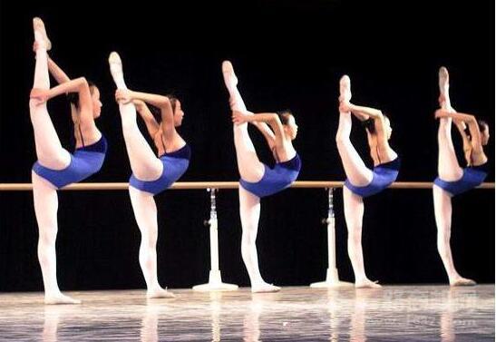 美之韵教育 美之韵教育