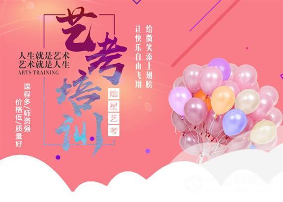 灿星少年星艺术培训