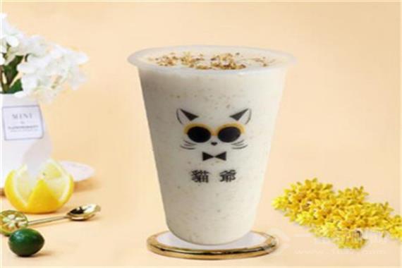 猫爷奶茶