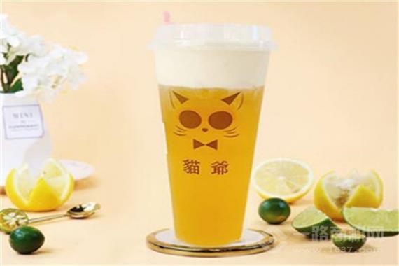猫爷奶茶