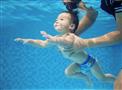 海豚家亲子游泳