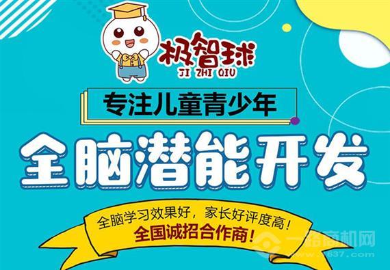 极智球右脑开发