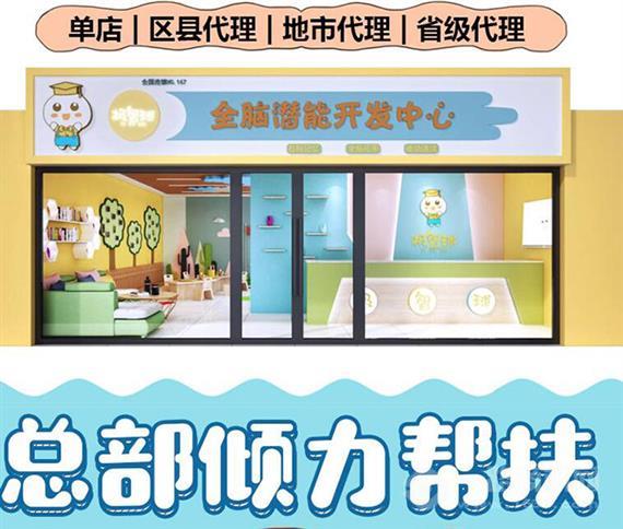 极智球右脑开发